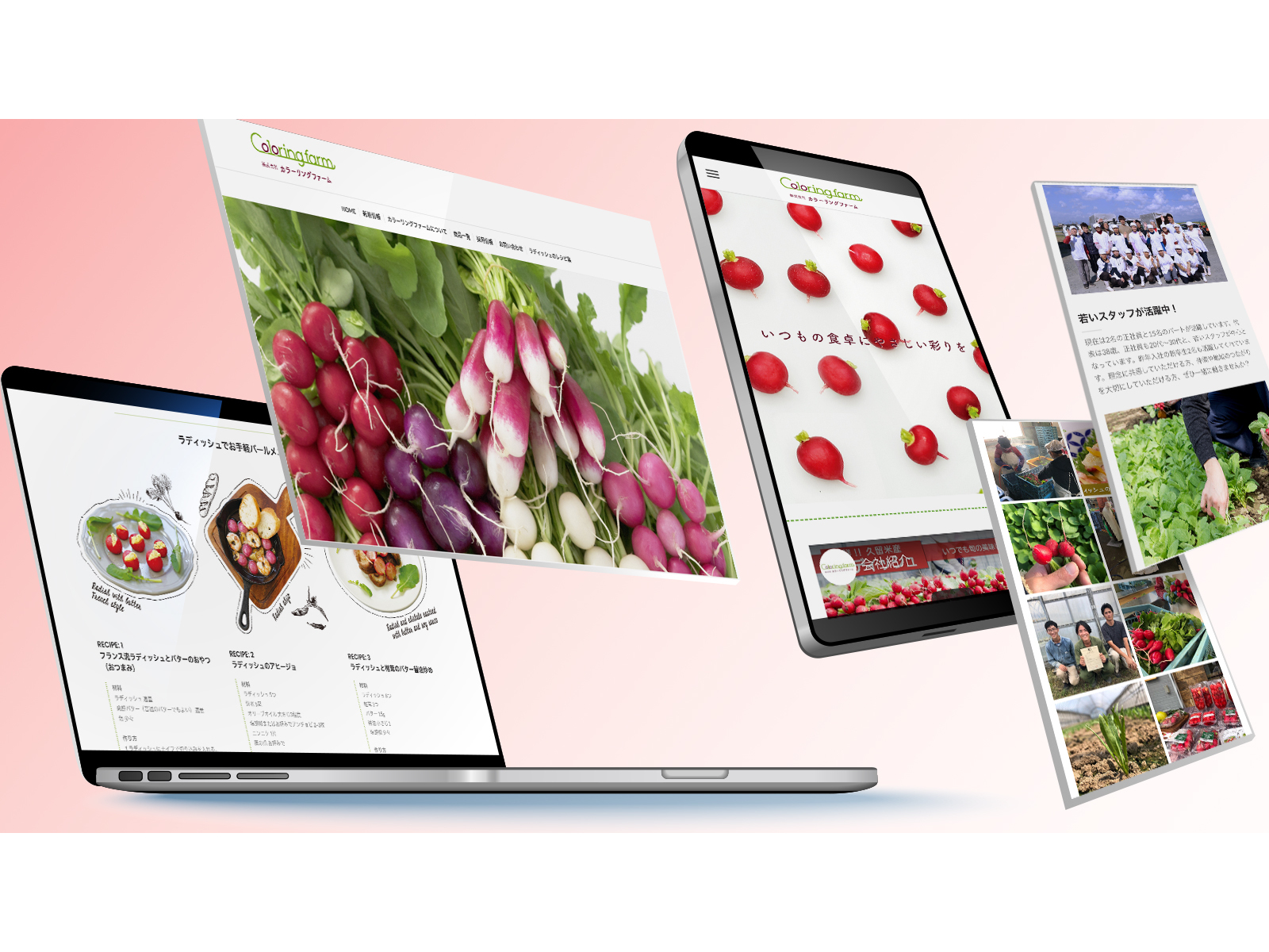 カラーリングファーム 様 WEBサイト リニューアル