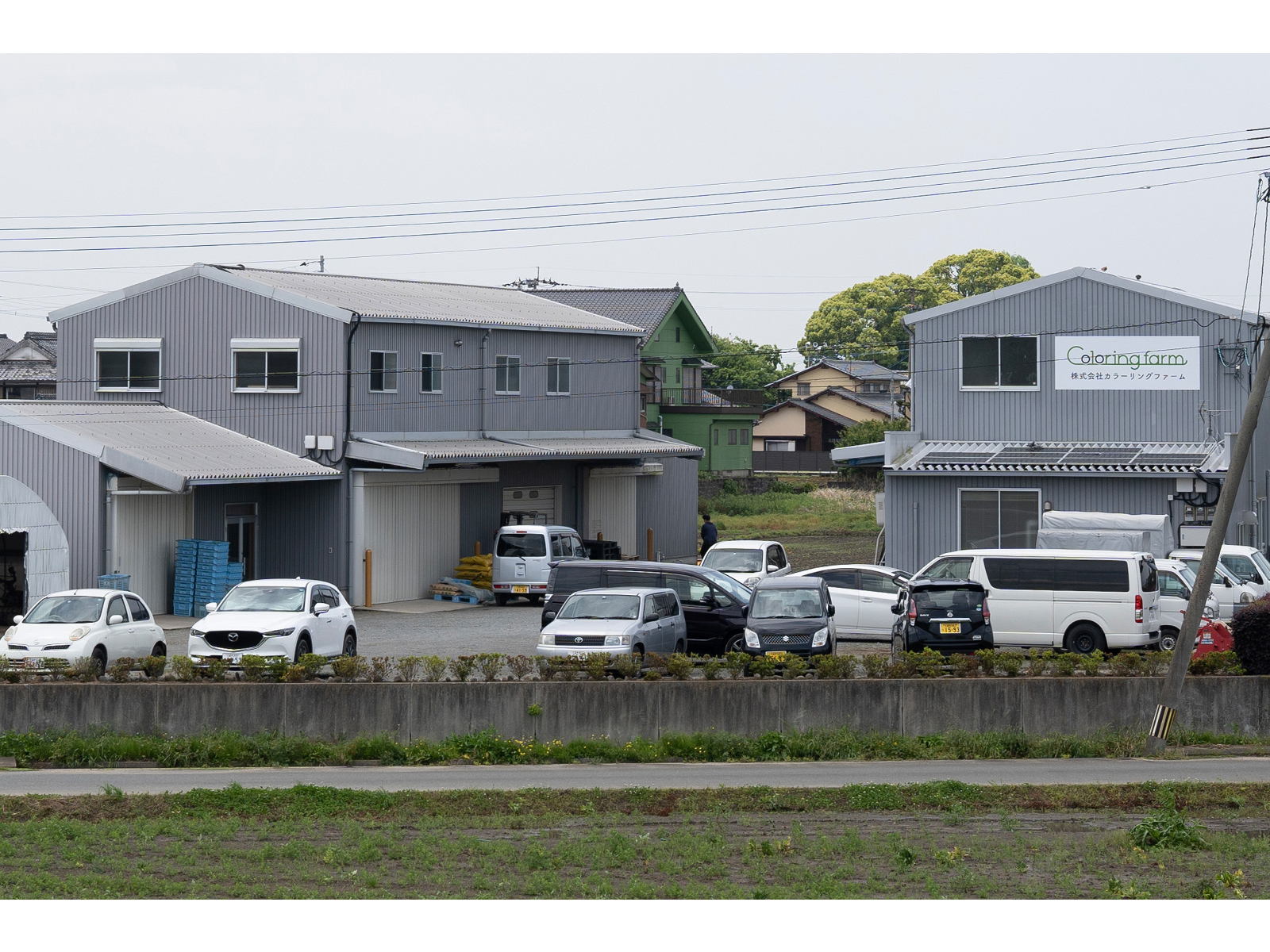 畑の向こうに建つグレーの倉庫の外壁に、「Coloring farm 株式会社カラーリングファーム」の白い看板