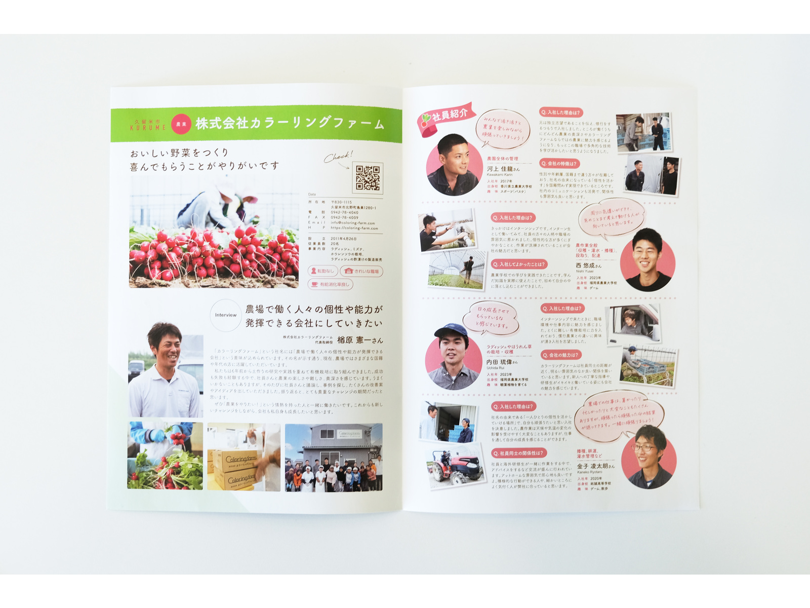 開いた採用パンフレットの中面。左に「おいしい野菜をつくり喜んでもらうことがやりがいです」と代表のインタビュー、右に社員4人の紹介