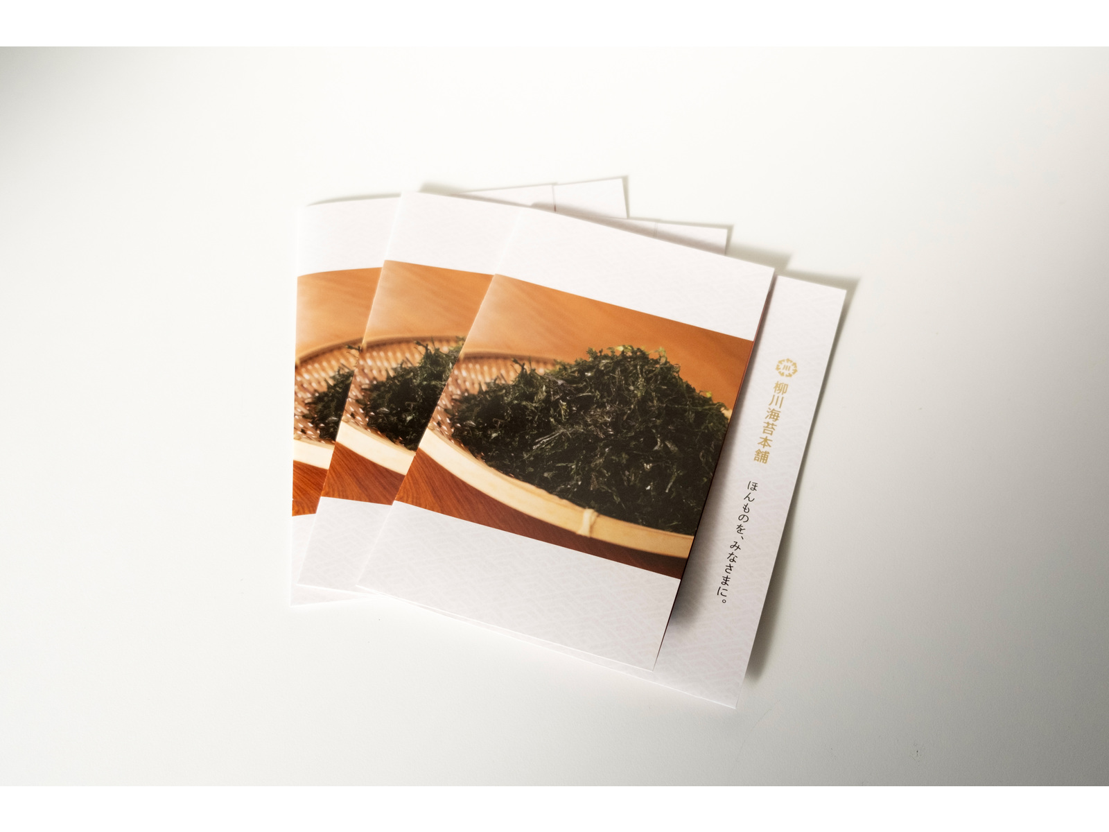 ざるに盛った海苔の写真と「柳川海苔本舗 ほんものを、みなさまに。」の文字の表紙のパンフレットを3部重ねたもの