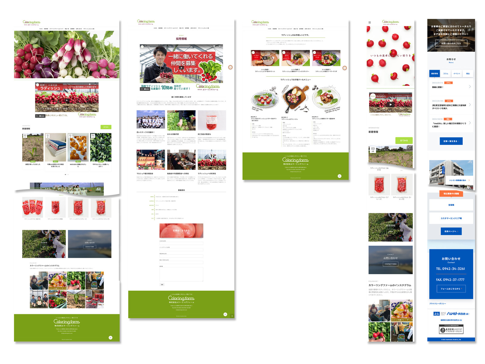 カラーリングファーム 様 WEBサイト リニューアル